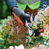 image:imageHusqvarna 26 LoppersBlack
