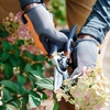 image:imageHusqvarna 26 LoppersBlack