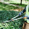 image:imageHusqvarna 26 LoppersGrey