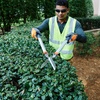 image:imageHusqvarna 26 LoppersGrey