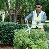 image:imageHusqvarna 32 LoppersGrey
