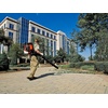 image:imageHusqvarna 350BT Gas Leaf Blower 502cc 21HP 2Cycle Backpack Leaf Blower with 692CFM 180MPH 21N Powerful Clearing Performance and Ergonomic Harness System Gifts for dadBlower