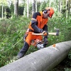 image:imageHusqvarna 8Inch Chainsaw Felling Wedge Chainsaw Safety Gear for Tree Felling and Bucking Made with HighImpact ABS Plastic Orange